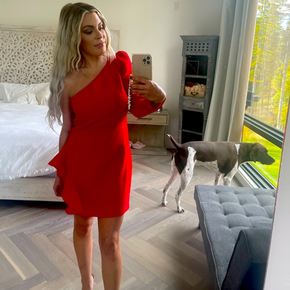 Lovers + Friends Jett Mini Dress